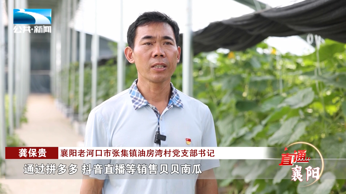 imtoken eth主网络_网络主播姚振宇_网络主播年度净收入百强榜