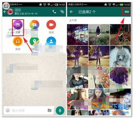 分享图片到whatsapp,如何将图片一键发送至WhatsApp