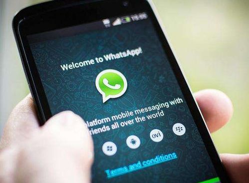 当年和whatsapp竞争的产品,揭秘当年热门即时通讯应用